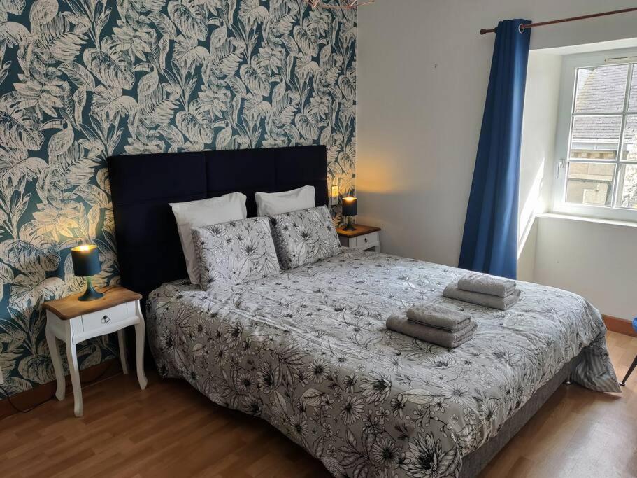 Le Tropica Appartement 2 Chambres, Plein Sud Centre Ville De Vitre 외부 사진