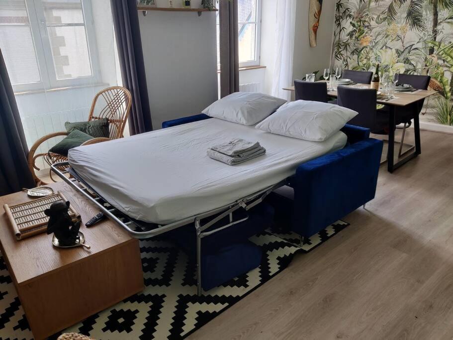 Le Tropica Appartement 2 Chambres, Plein Sud Centre Ville De Vitre 외부 사진