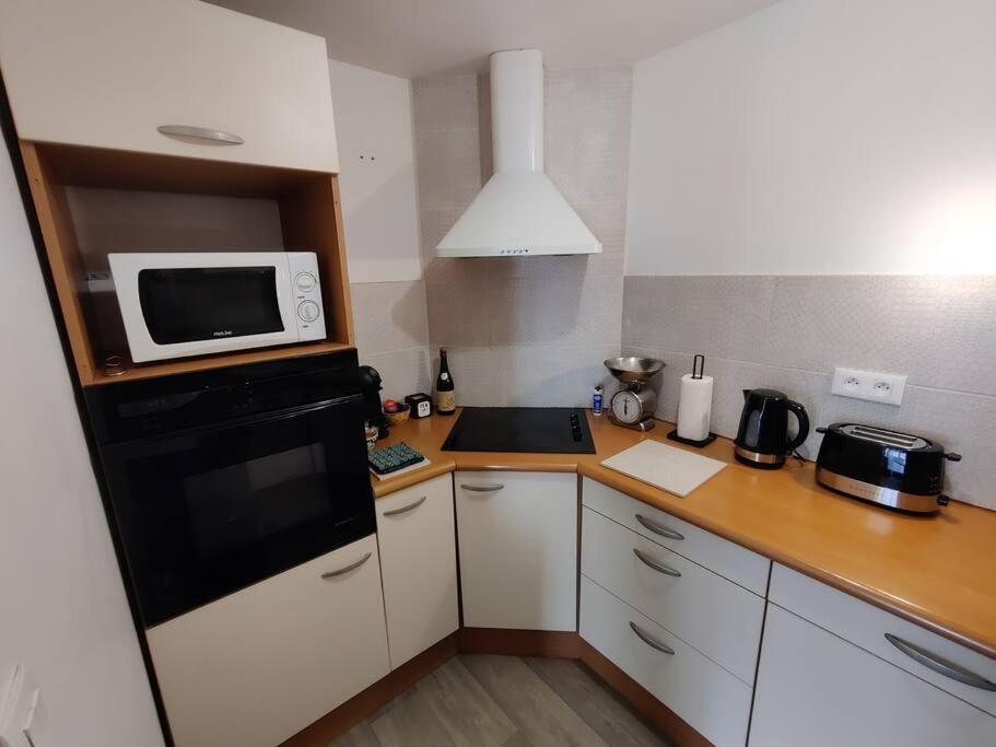 Le Tropica Appartement 2 Chambres, Plein Sud Centre Ville De Vitre 외부 사진
