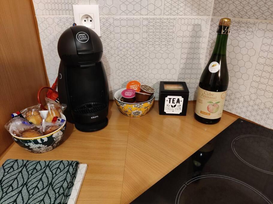 Le Tropica Appartement 2 Chambres, Plein Sud Centre Ville De Vitre 외부 사진