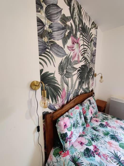 Le Tropica Appartement 2 Chambres, Plein Sud Centre Ville De Vitre 외부 사진