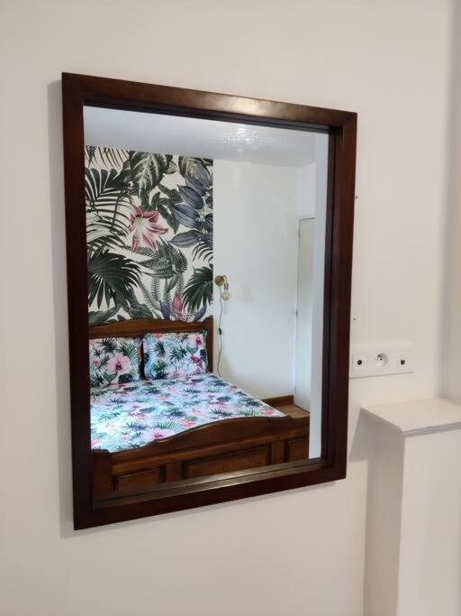 Le Tropica Appartement 2 Chambres, Plein Sud Centre Ville De Vitre 외부 사진